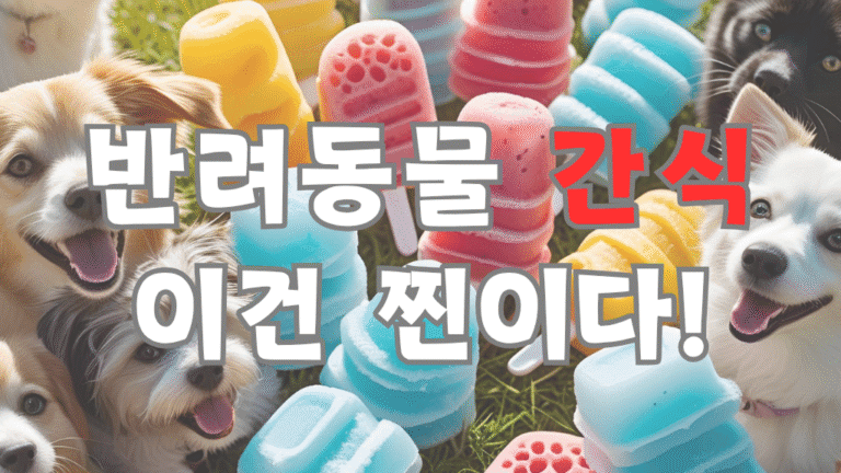 반려동물 수제간식 레시피
